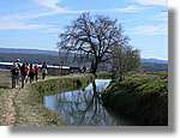 Transequia_087.jpg(126 KB)