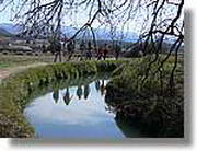 Transequia_089.jpg(174 KB)