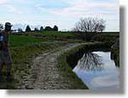 Transequia_094.jpg(105 KB)