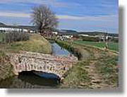 Transequia_098.jpg(123 KB)