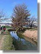 Transequia_103.jpg(159 KB)