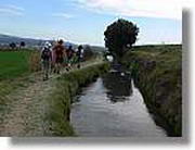 Transequia_110.jpg(93,7 KB)