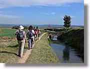 Transequia_118.jpg(95,7 KB)