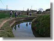 Transequia_119.jpg(90,7 KB)