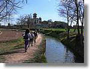 Transequia_120.jpg(159 KB)