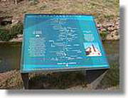 Transequia_121.jpg(140 KB)