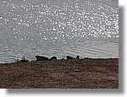 Transequia_134.jpg(141 KB)