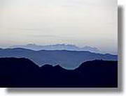 Coloms_093.jpg(33,5 KB)