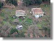 Coloms_167.jpg(135 KB)