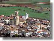 Coloms_208.jpg(144 KB)