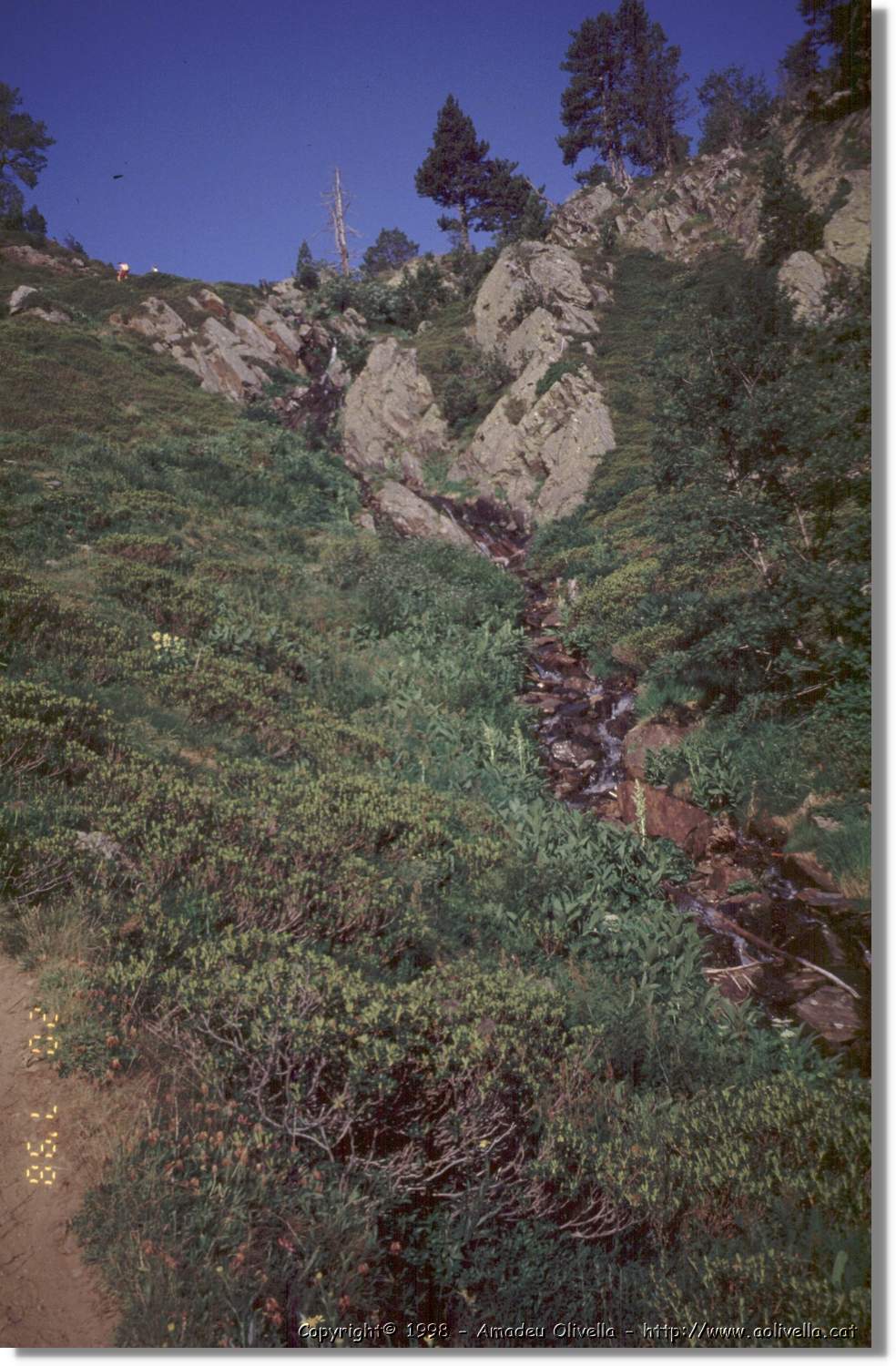 Comapedrosa_041.jpg