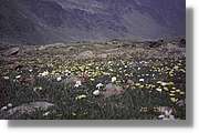Comapedrosa_053.jpg