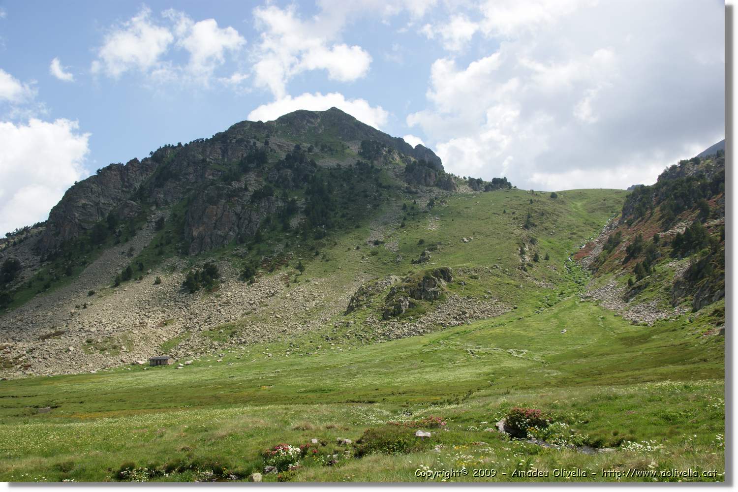 Siscaro_056.jpg