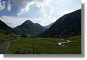 Siscaro_005.jpg