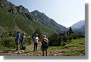 Siscaro_008.jpg
