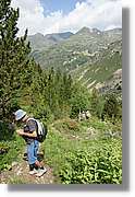 Siscaro_022.jpg