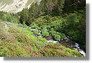 Siscaro_029.jpg