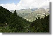 Siscaro_039.jpg