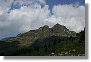Siscaro_043.jpg