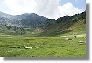 Siscaro_049.jpg
