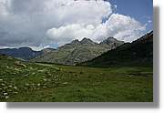 Siscaro_053.jpg
