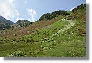 Siscaro_054.jpg
