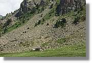 Siscaro_059.jpg