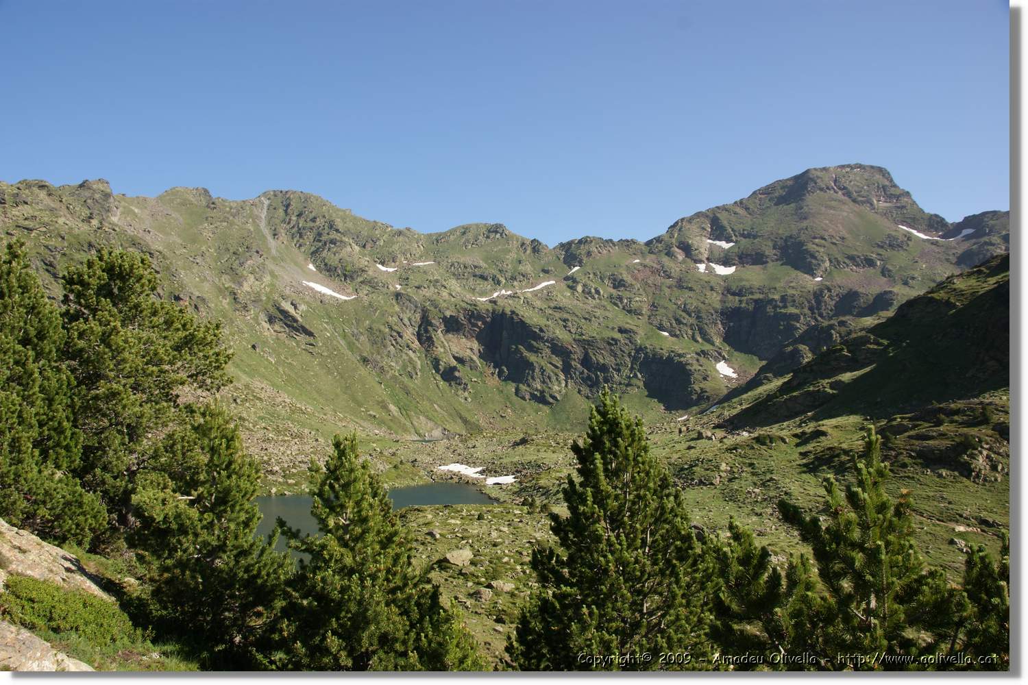 Tristaina_021.jpg