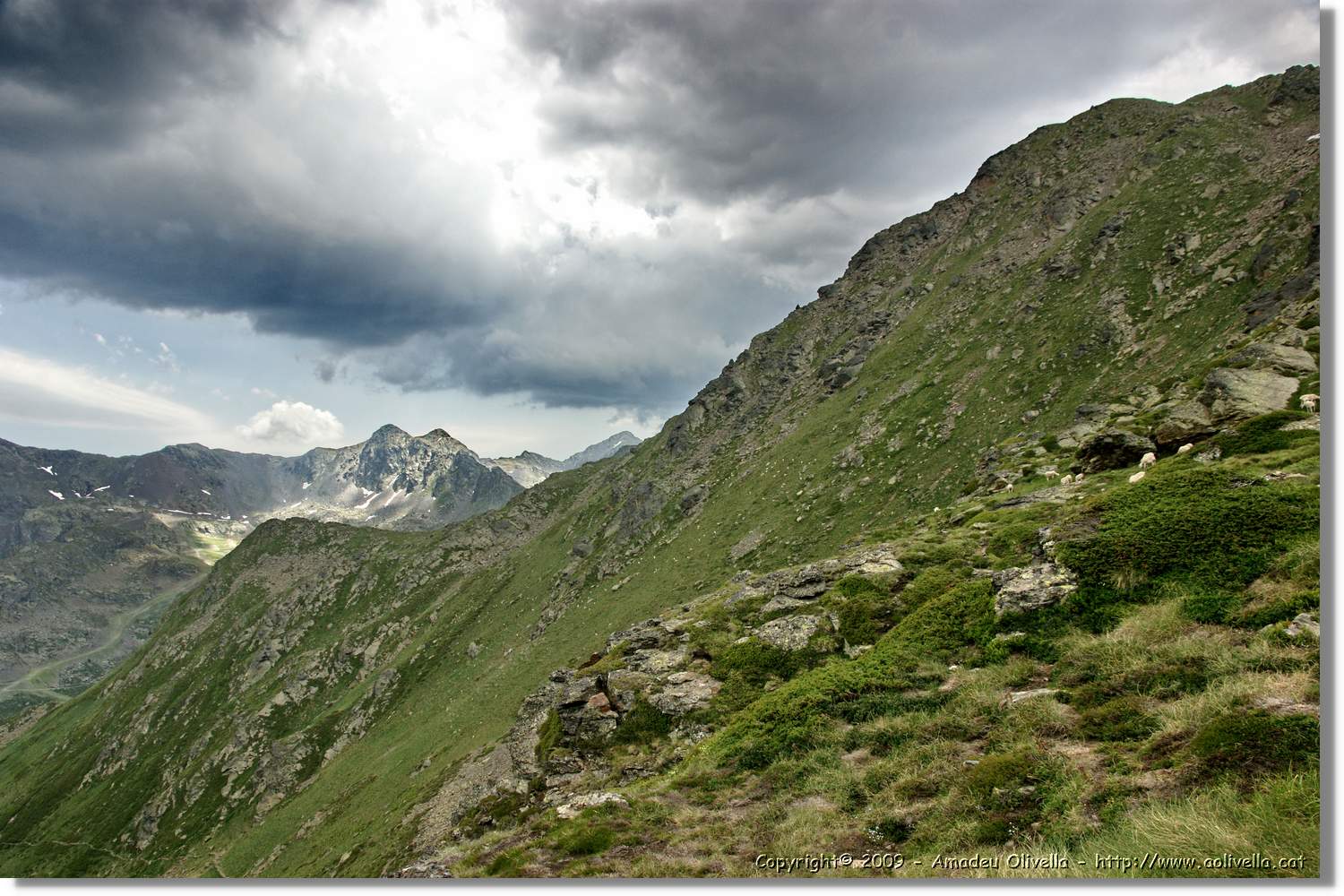 Tristaina_144.jpg
