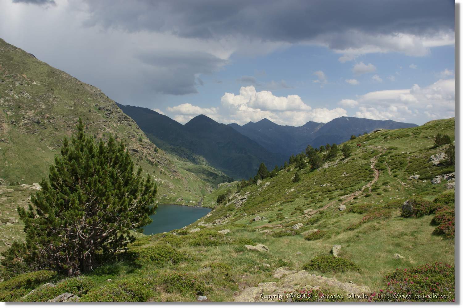 Tristaina_159.jpg