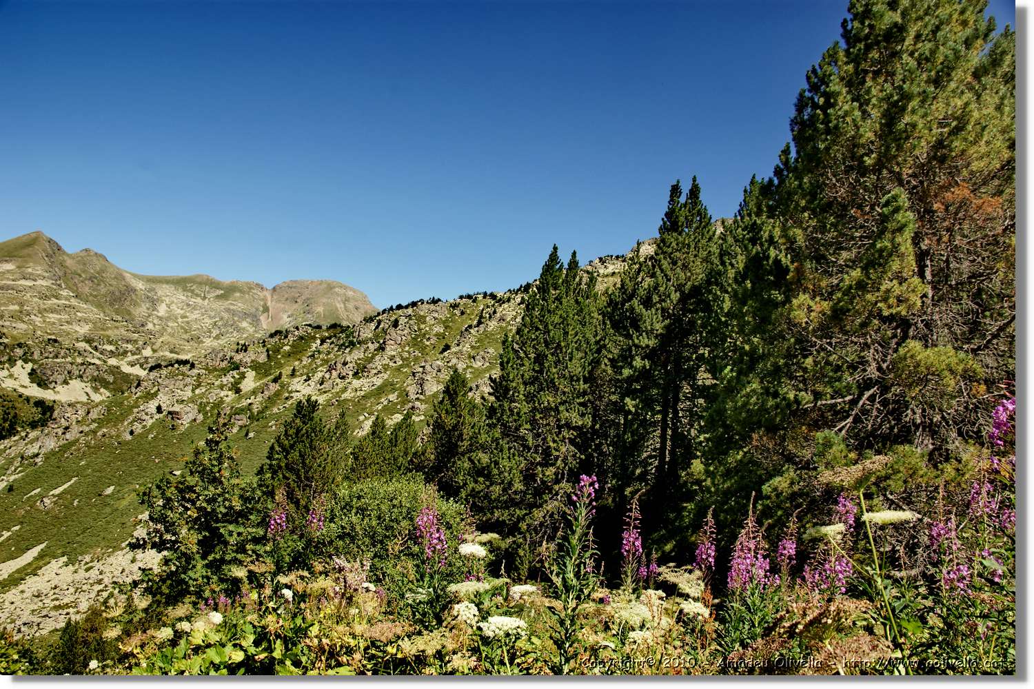 Andorra_128.jpg
