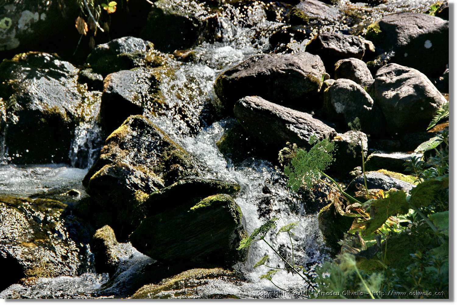 Andorra_135.jpg