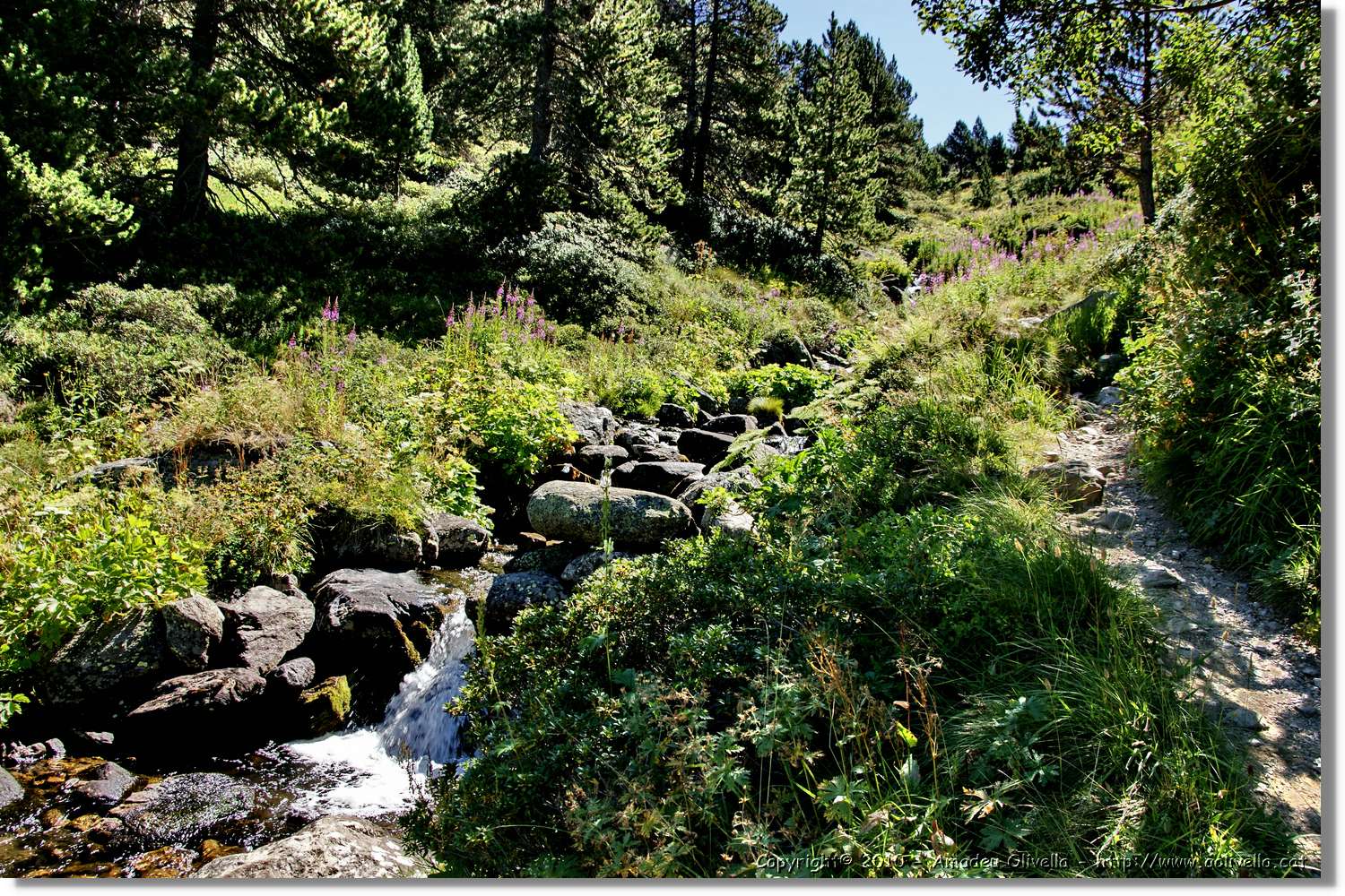 Andorra_136.jpg