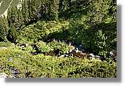 Andorra_124.jpg