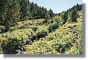 Andorra_125.jpg
