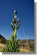 Andorra_149.jpg