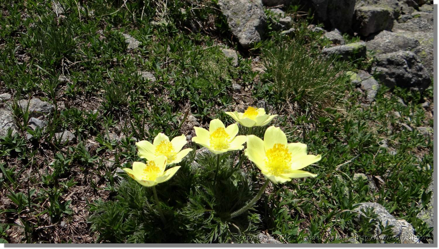 Envalira_102.jpg