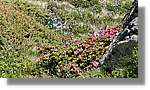 Envalira_058.jpg