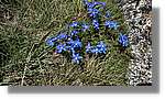Envalira_087.jpg