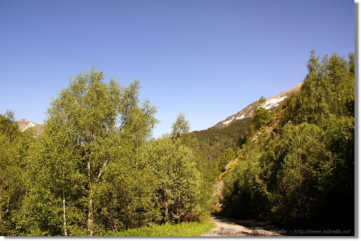 Sorteny_025.jpg