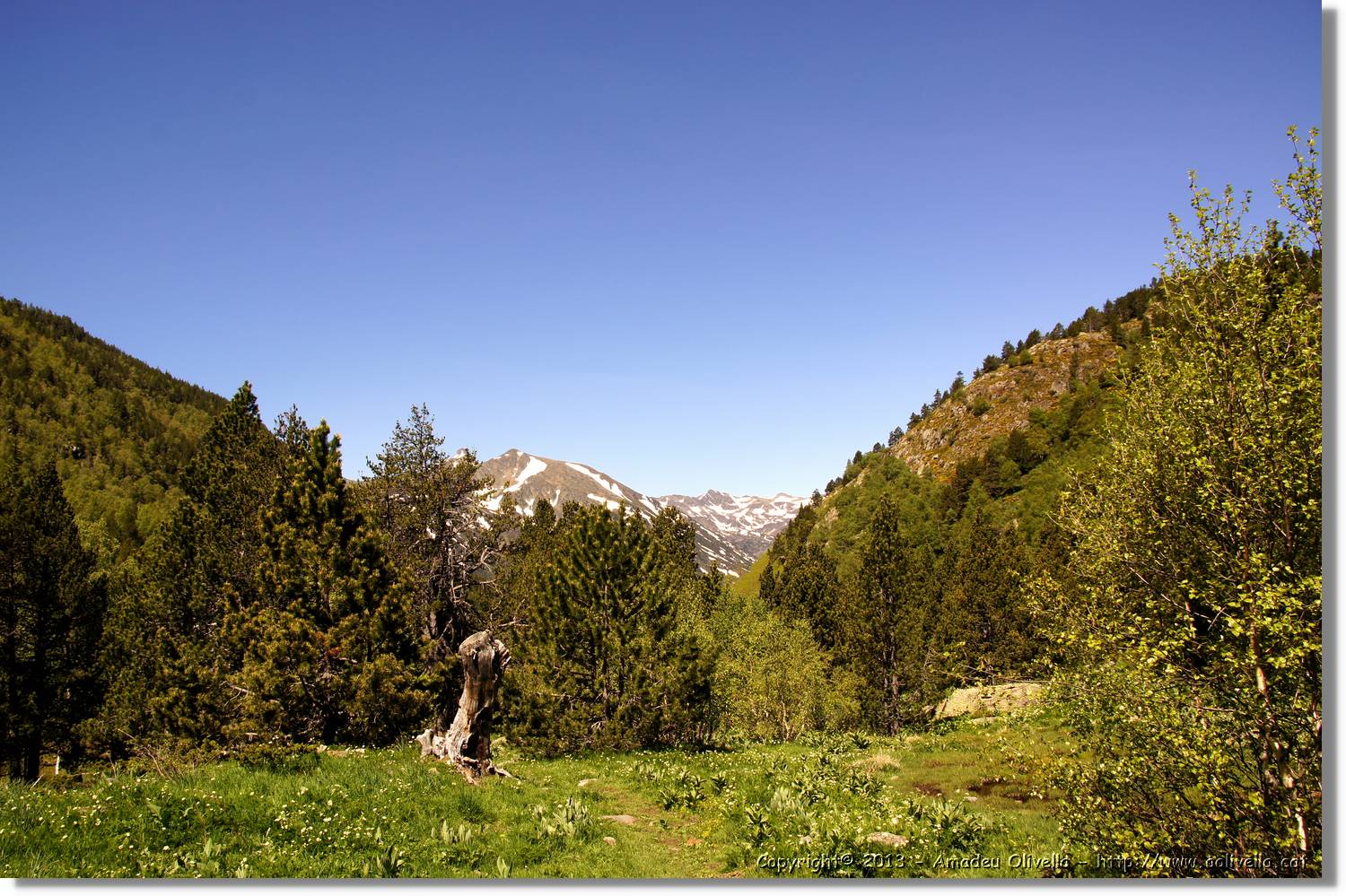 Sorteny_072.jpg