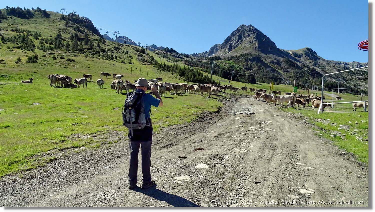 Ferrada_007.jpg