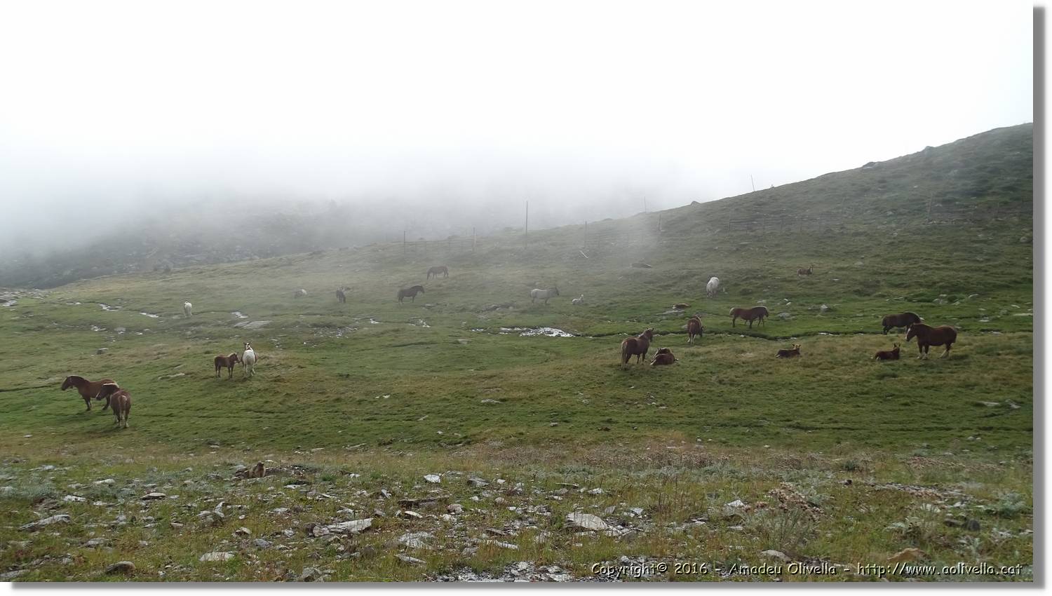 Envalira_014.jpg