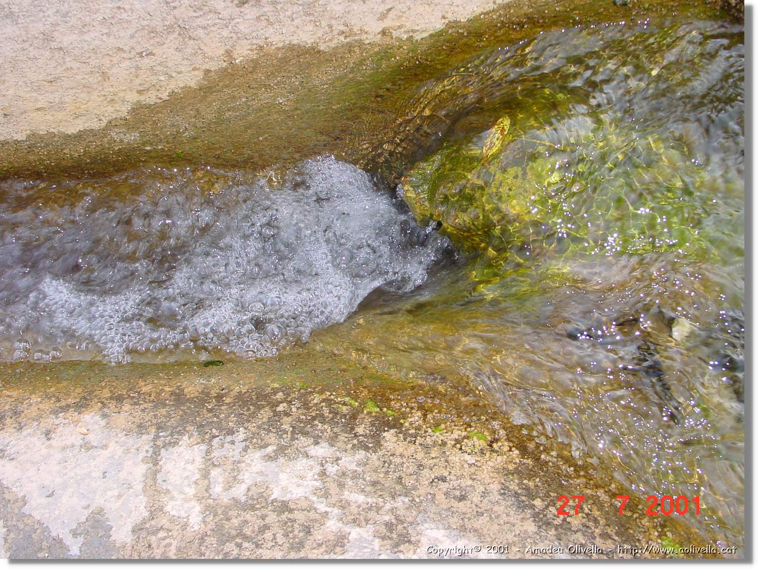 Belagua_049.jpg