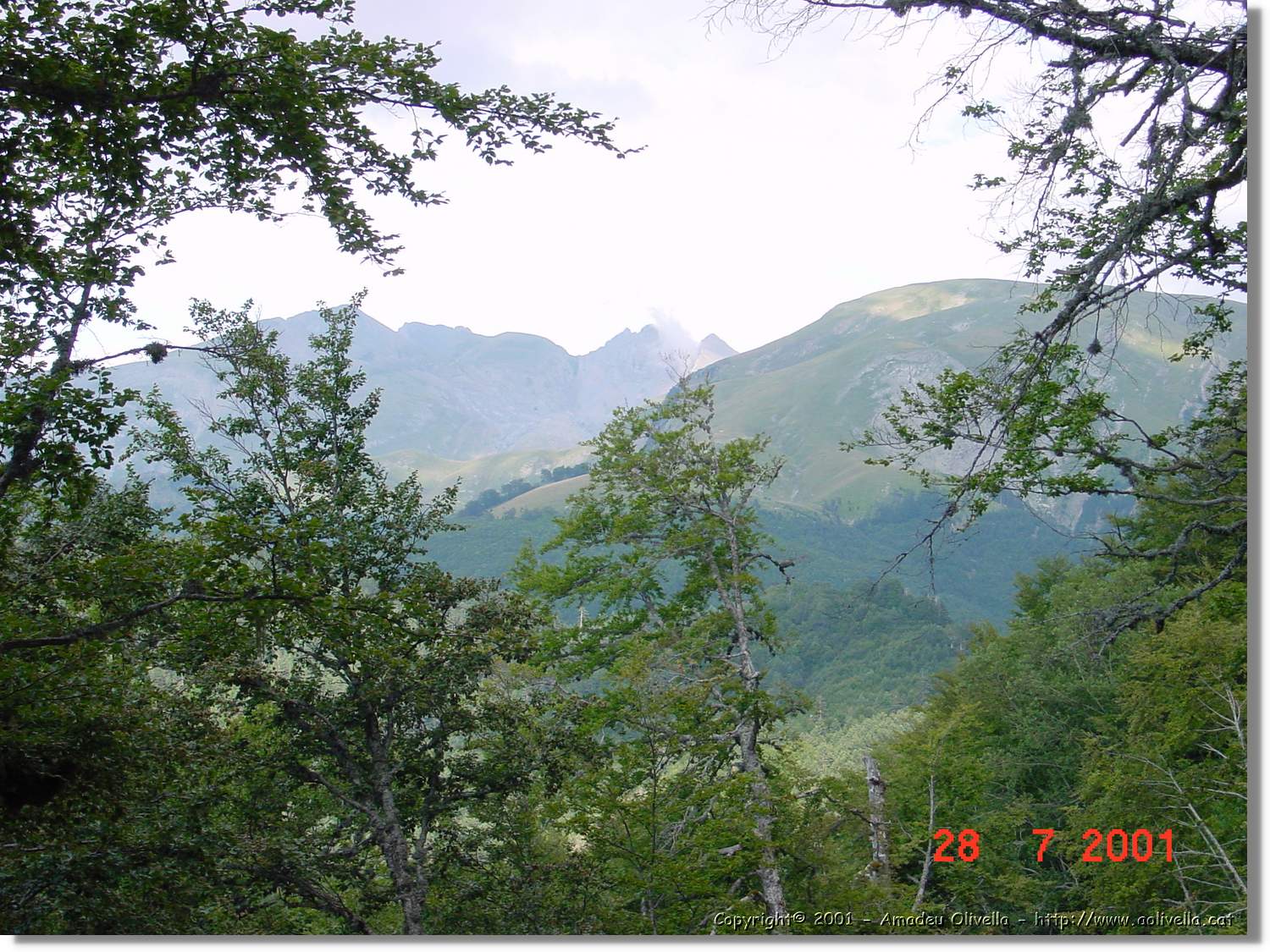 Belagua_071.jpg