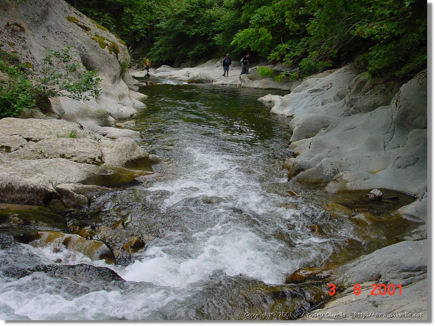 Belagua_318.jpg