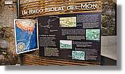 Ciment_013.jpg