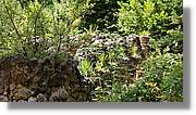 Ciment_046.jpg