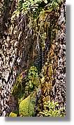 Ciment_080.jpg