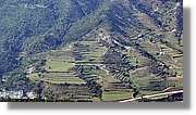 Ciment_098.jpg